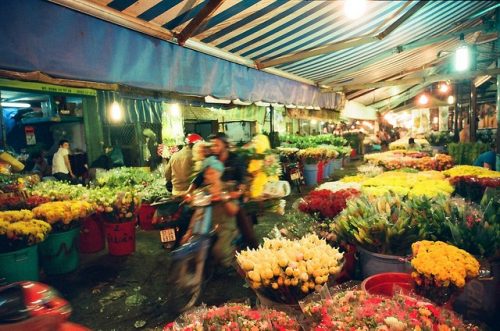 kinh nghiệm mua hoa tại chợ hồ thị kỷ